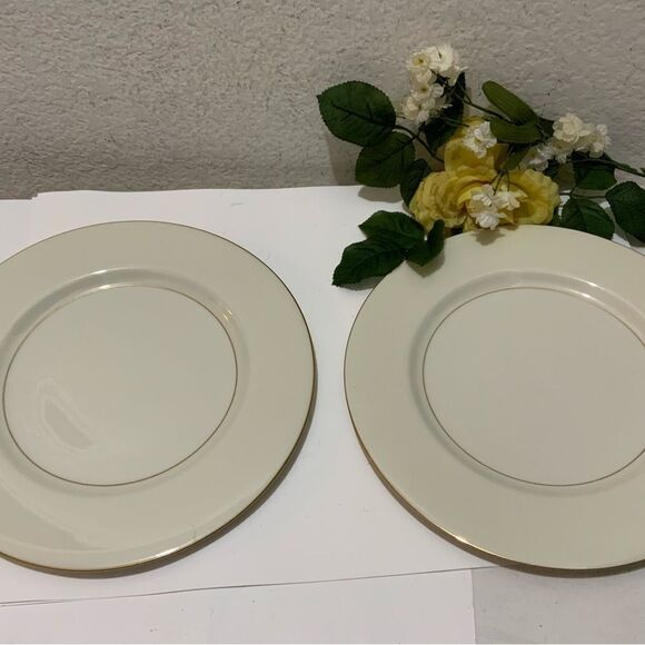 Theodore Haviland Gramercy 10 3/4  Inch dinner plate With Gold Trim set of 2 G8 - Picture 2 of 10